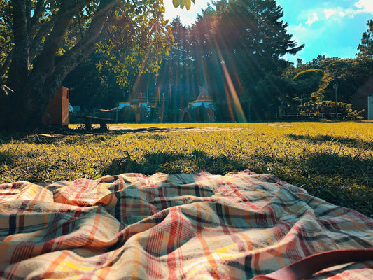 A plaid blanket is spread on grass under a tree in a park, with sunlight streaming through the leaves and trees in the background.