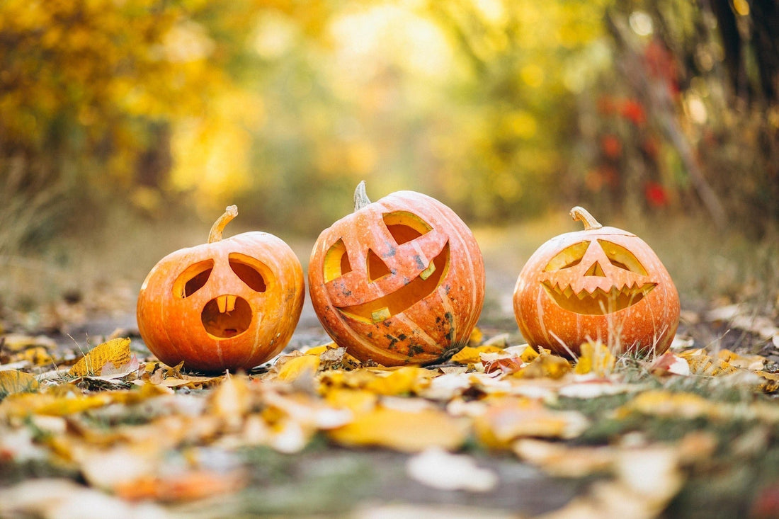 3 carved pumpkins resting against a fall backdrop